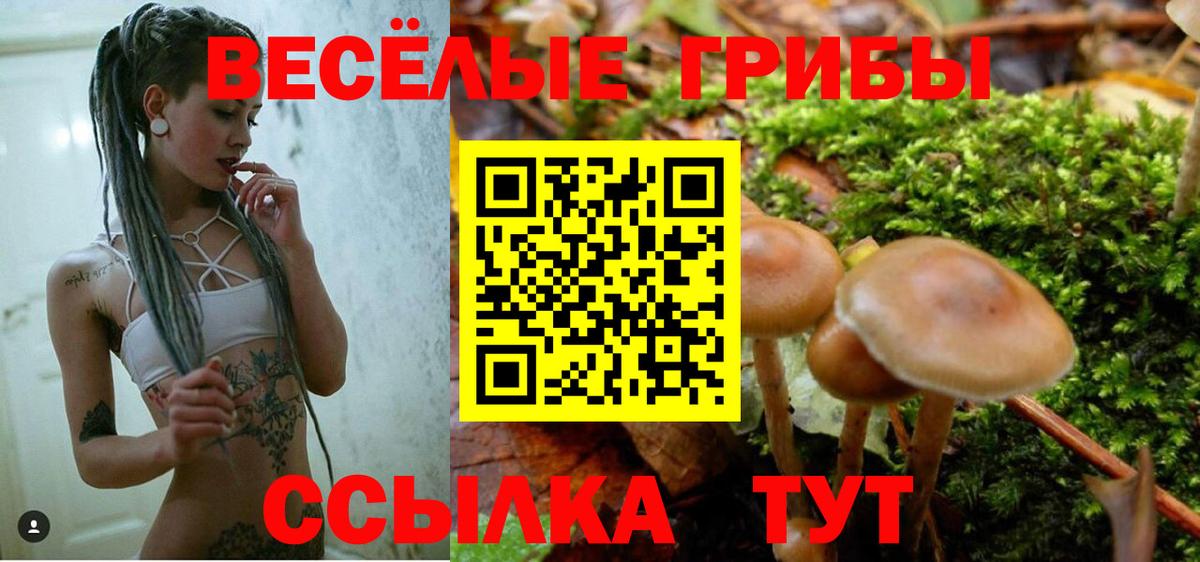 Псилоцибиновые грибы Cubensis Малоярославец